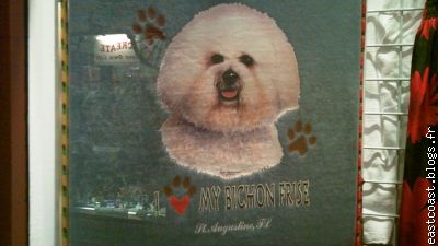 Un T shirt dans une  boutique pour les 'Pets Lovers'